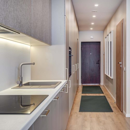 Namų apšvietimo ir buitinės technikos montavimas Vilniuje